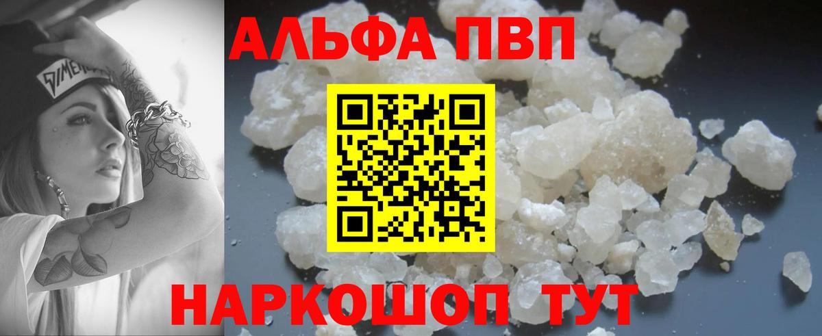 A PVP СК Светлоград