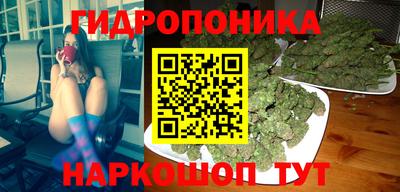 гашик Пыть-Ях