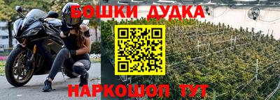 ГАЛЛЮЦИНОГЕННЫЕ ГРИБЫ Пугачёв