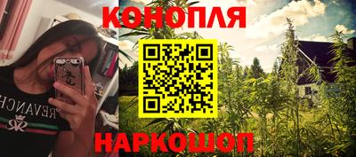 ГАЛЛЮЦИНОГЕННЫЕ ГРИБЫ Пугачёв