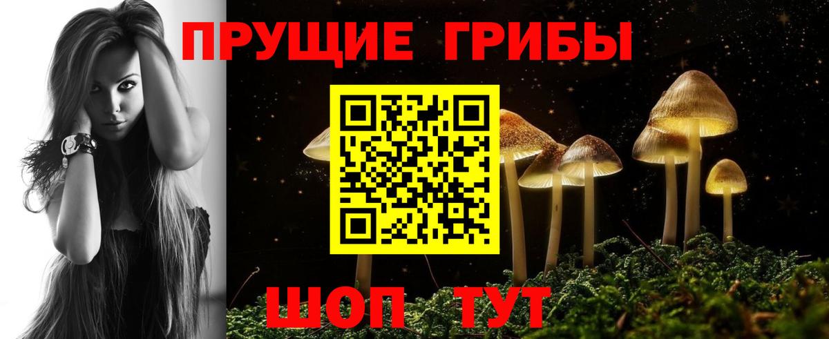 Псилоцибиновые грибы мухоморы  Вход с VPN  Светлоград 
